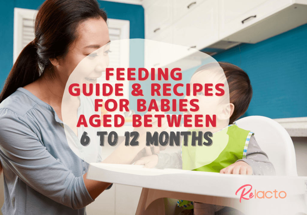 Feeding Guide For Babies Aged Between 6 to 12 months