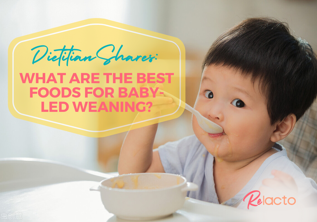 The Best Baby Led Weaning Supplies from A Dietitian