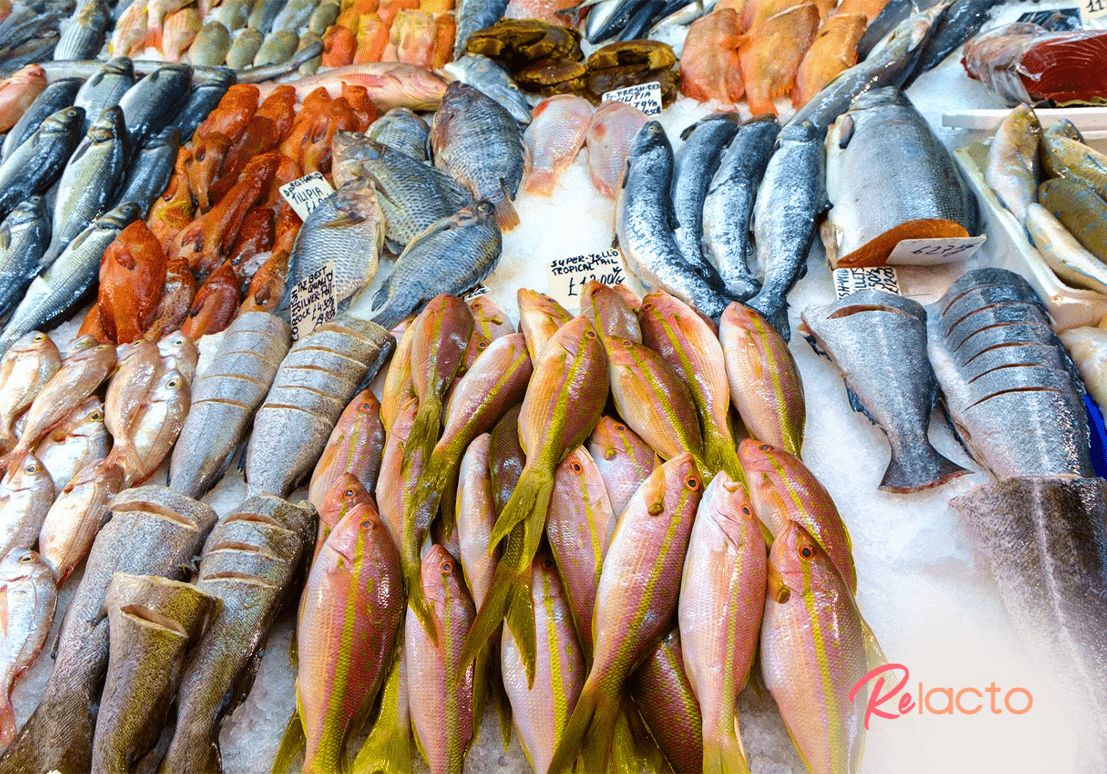 Dietitian Shares Breastfeeding? Here's Why You Should Eat Fish Every Week ReLacto